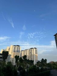 The Garden Residences (D19), Apartment #466689461